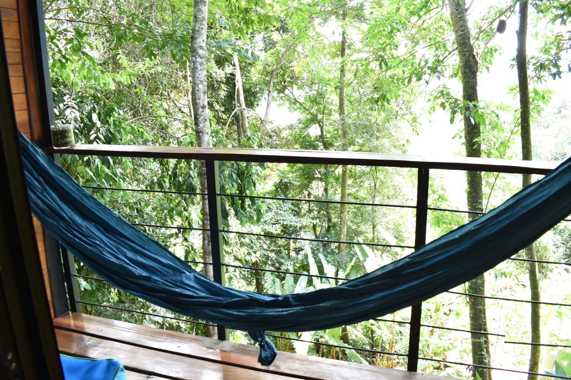 Aparthotel Selva Madre Eco-Sanctuary Cahuita Exteriér fotografie
