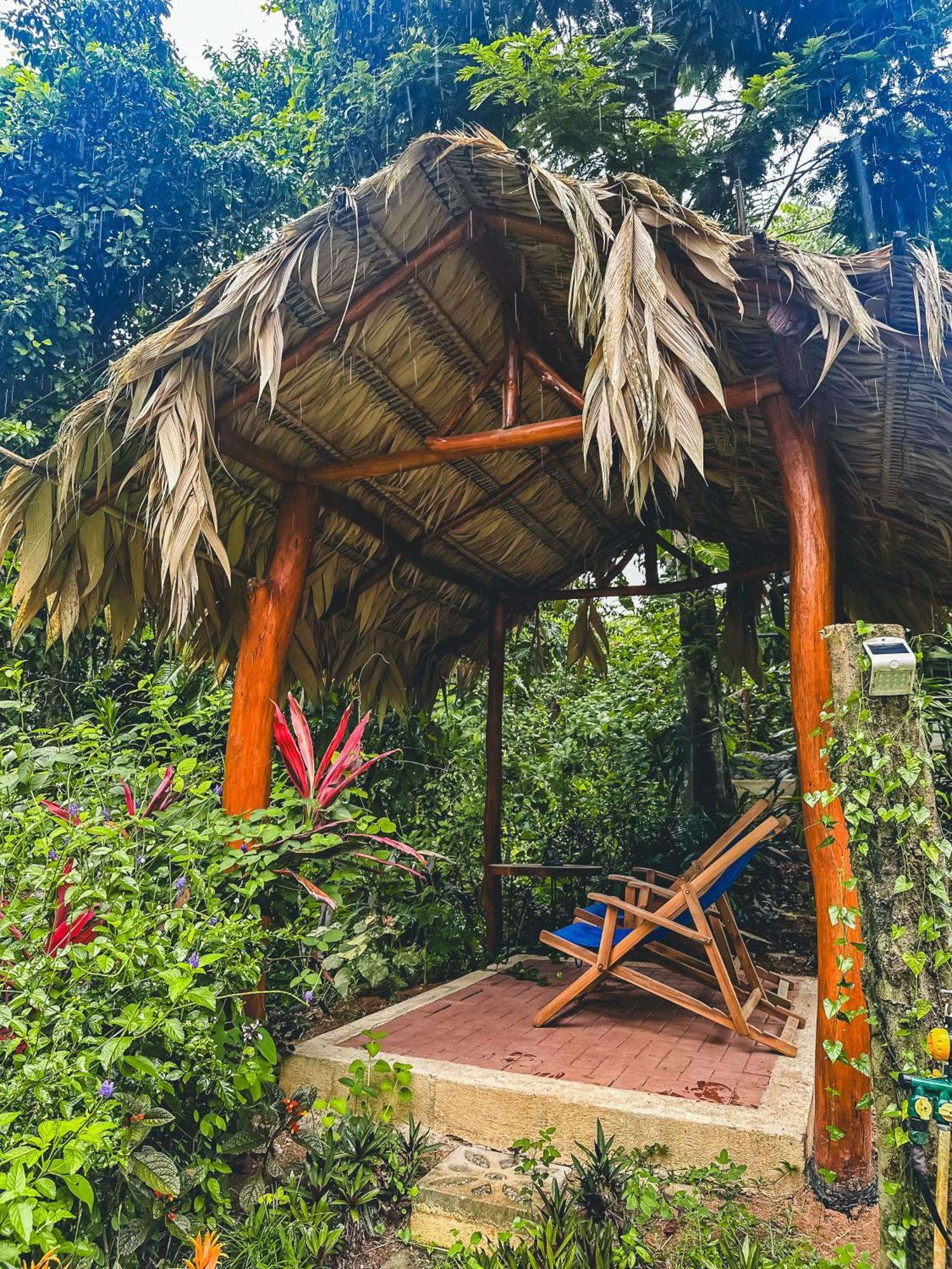 Aparthotel Selva Madre Eco-Sanctuary Cahuita Exteriér fotografie