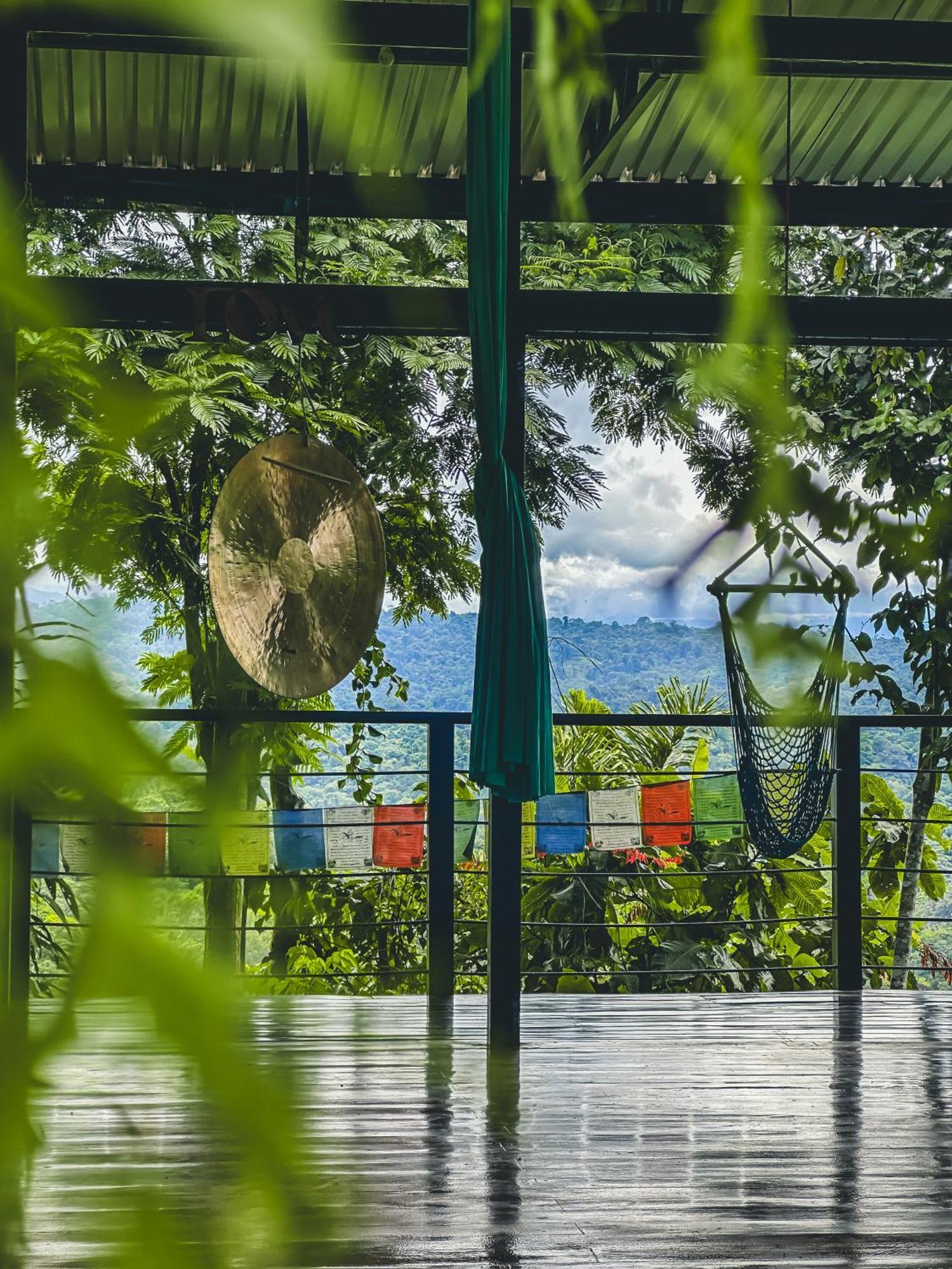Aparthotel Selva Madre Eco-Sanctuary Cahuita Exteriér fotografie