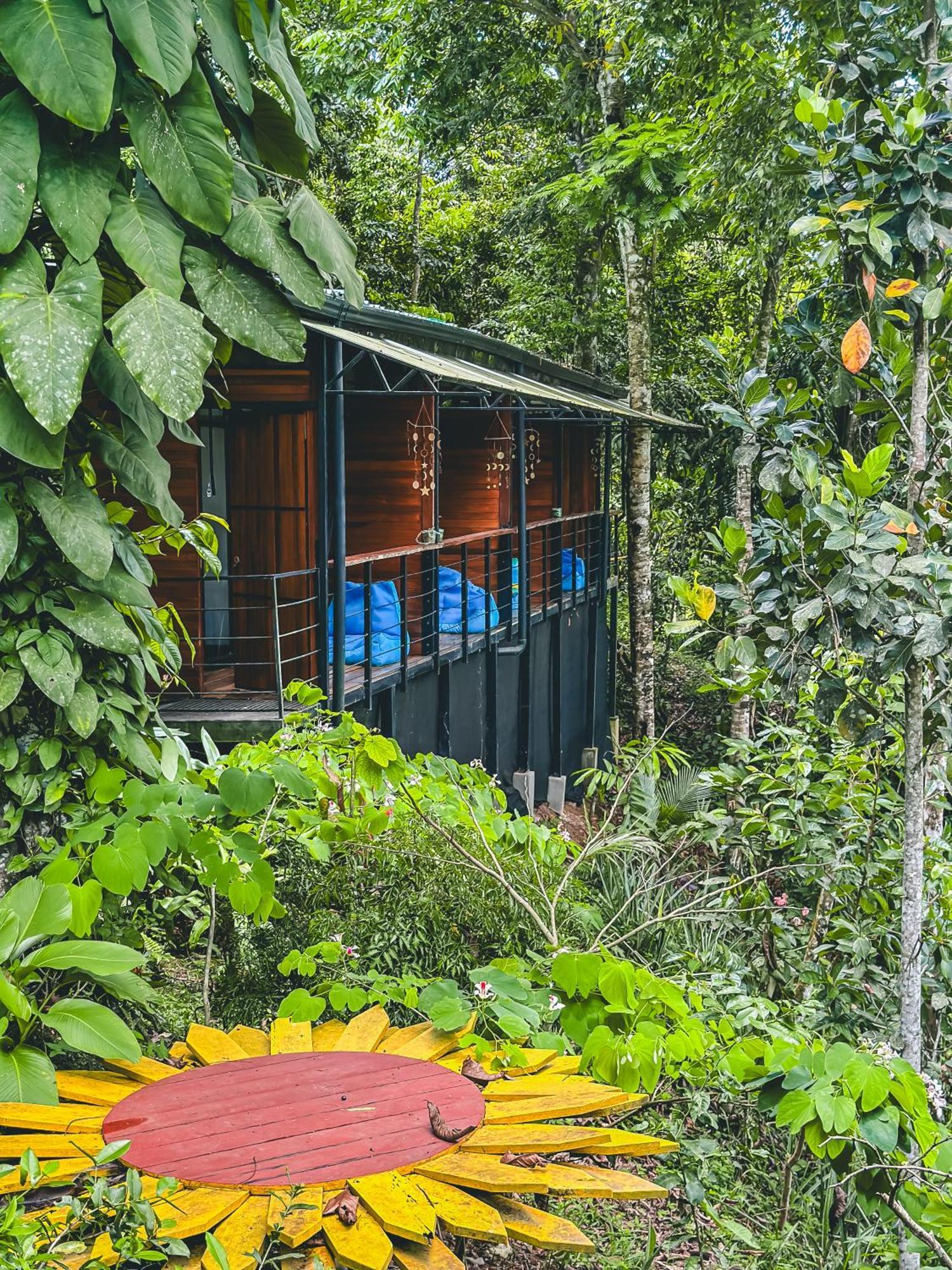 Aparthotel Selva Madre Eco-Sanctuary Cahuita Exteriér fotografie